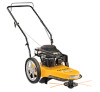 Get Cub Cadet ST 100 reviews and ratings