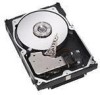 Get Dell 341-1430 - 36.7 GB Hard Drive reviews and ratings
