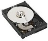 Get Dell Y098D - 500 GB Hard Drive reviews and ratings