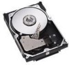 Get Dell 341-4826 - 300 GB Hard Drive reviews and ratings