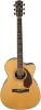 Fender PM-3 Deluxe Triple-0 Natural New Review
