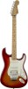 Get Fender Standard Stratocaster Plus Top reviews and ratings