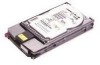 Get HP 152190-001 - Compaq 18.2 GB Hard Drive reviews and ratings