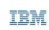 IBM 1394167 New Review