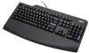 Get Lenovo 31P7427 - ThinkPlus Preferred Pro Wired Keyboard reviews and ratings