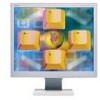 Get NEC LCD1960NXI - MultiSync - 19inch LCD Monitor reviews and ratings
