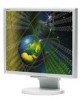Get NEC LCD1970NX - MultiSync - 19inch LCD Monitor reviews and ratings