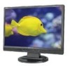 Get NEC LCD19WMGX - AccuSync - 19inch LCD Monitor reviews and ratings