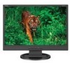 NEC LCD19WV New Review