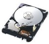 Get Samsung HM500LI - SpinPoint M60S 500 GB Hard Drive reviews and ratings