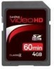 Get SanDisk SDSDHV-004G-A15 - Video HD Flash Memory Card reviews and ratings