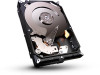 Reviews and ratings for Seagate ST310005N1A1AS