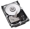 Get Seagate ST3146707LW - Cheetah 146 GB Hard Drive reviews and ratings