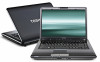 Get Toshiba A355D-S69221 reviews and ratings