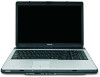 Toshiba Satellite L355D-S7810 New Review